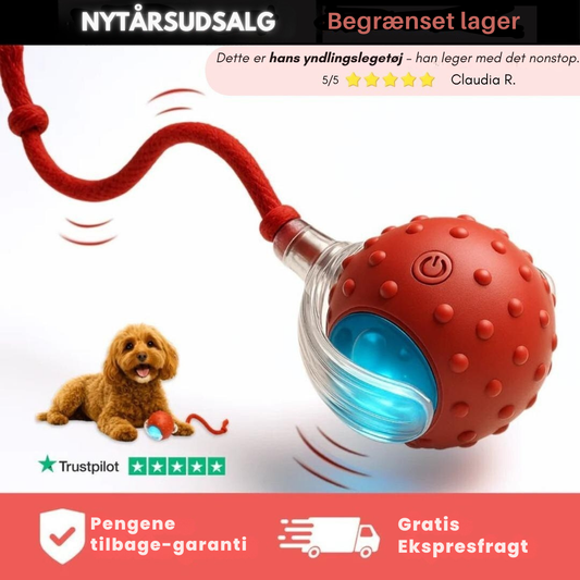 NordPaw™ - Speedy Tail 2.0