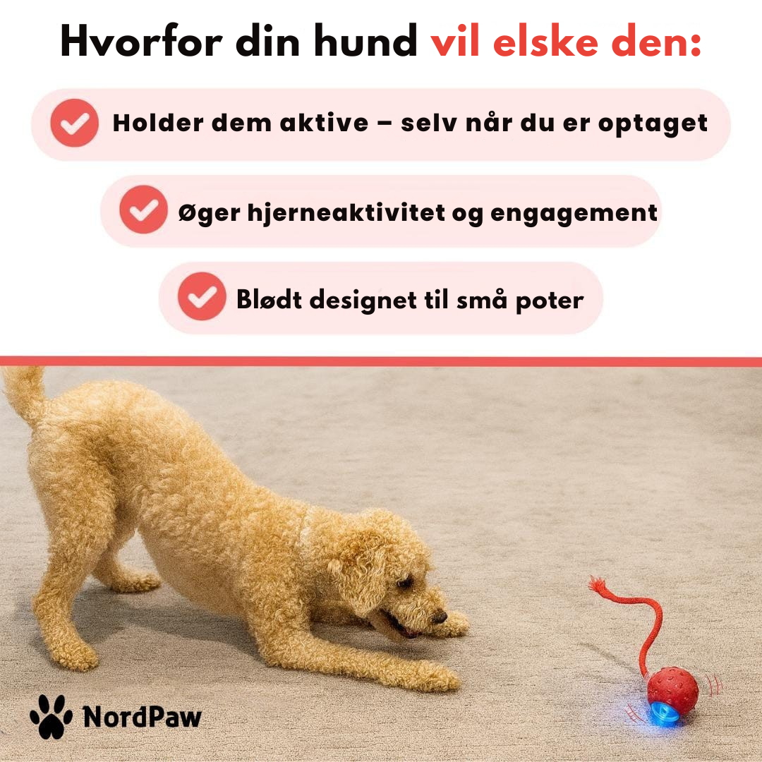 NordPaw™ - Speedy Tail 2.0